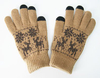 Small MOQ Hot Sale Acrylic Knitted Jacquard Winter Glove Magic Screen Touch Glove